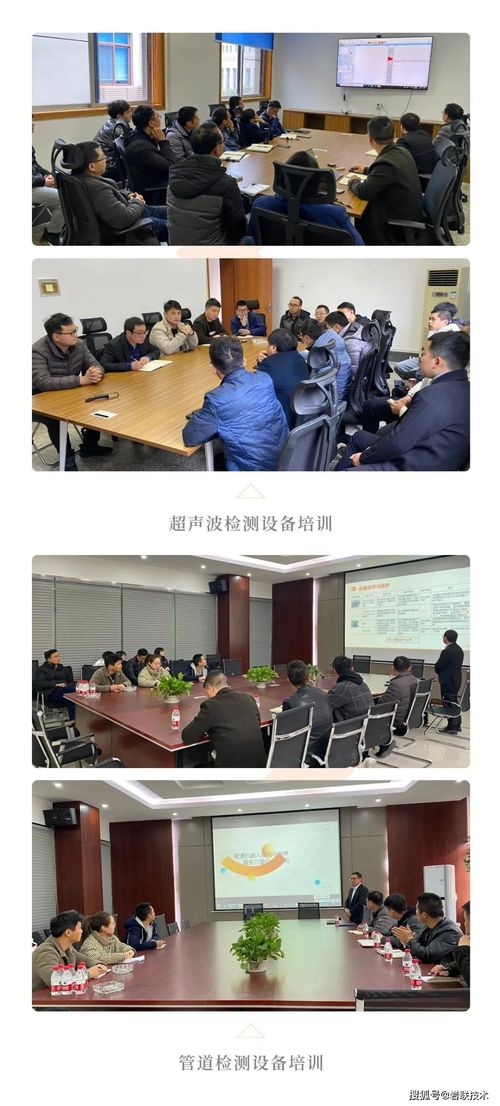 用心服务，征程万里——岩联重庆站以信息咨询赋能山城发展